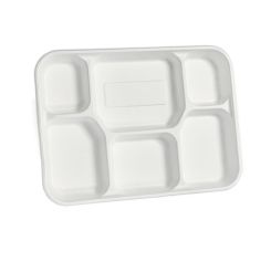 Compostable 6 compartment Bagasse Plate White