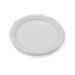 Compostable Round Bagasse Plate 9 Inch White