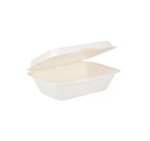 Bagasse Compostable Food Boxes 7x5" White