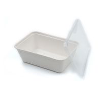 500-650ml PP Lid for Bagasse Tray