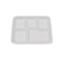 Compostable 5 compartment Bagasse Plate White