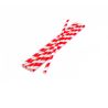 Compostable PAPER Straw 200x6mm White/Red