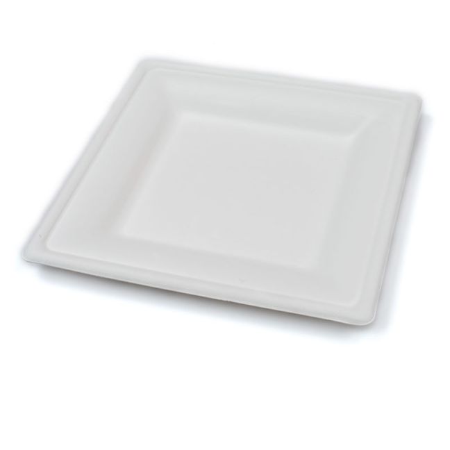 Compostable Square Bagasse Plate 26x26cm White