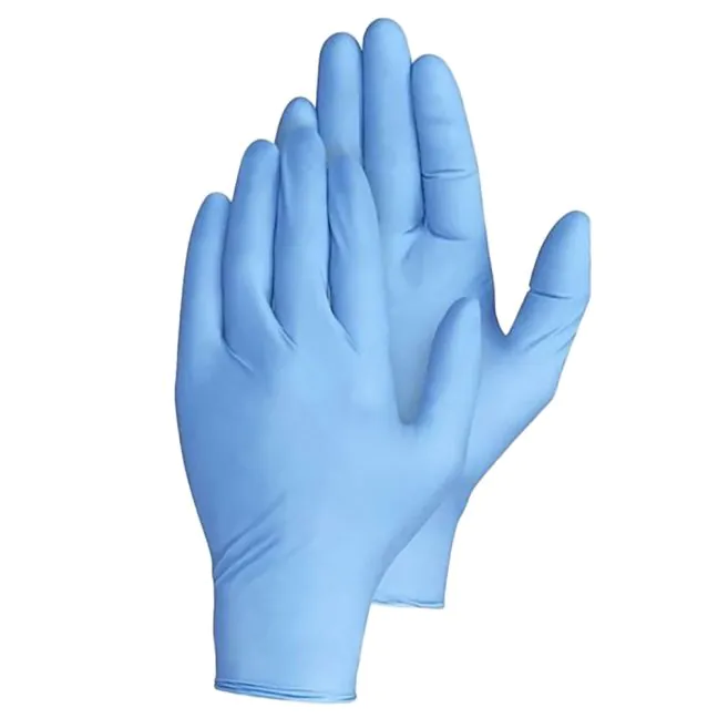 Large Nitrile Powderfree Gloves Blue Enviropack