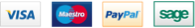 footer-payment-icon